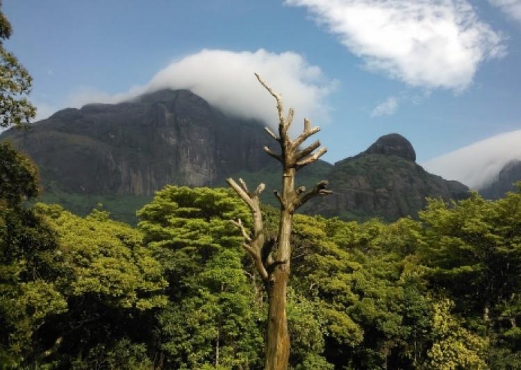 Agasthyamala (India)