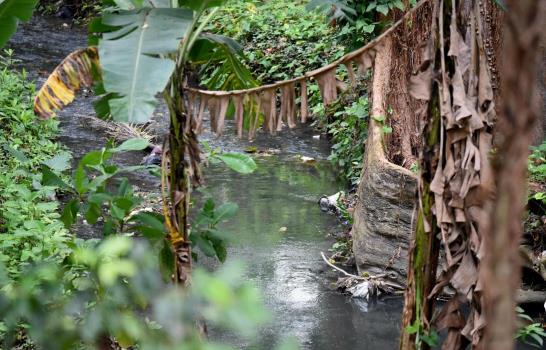 Anuncian remodelación del zoológico de Moca