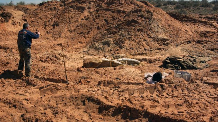 Arqueólogos estadounidenses encuentran la calavera de un mamut en Oklahoma