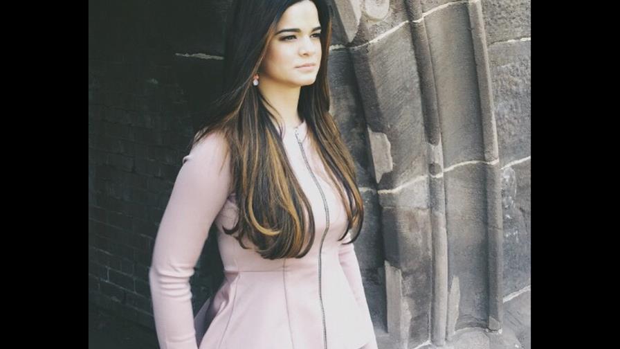 Inscripción fraudulenta de hija de Leonel Fernández como candidata a vicealcaldesa es un crimen electoral