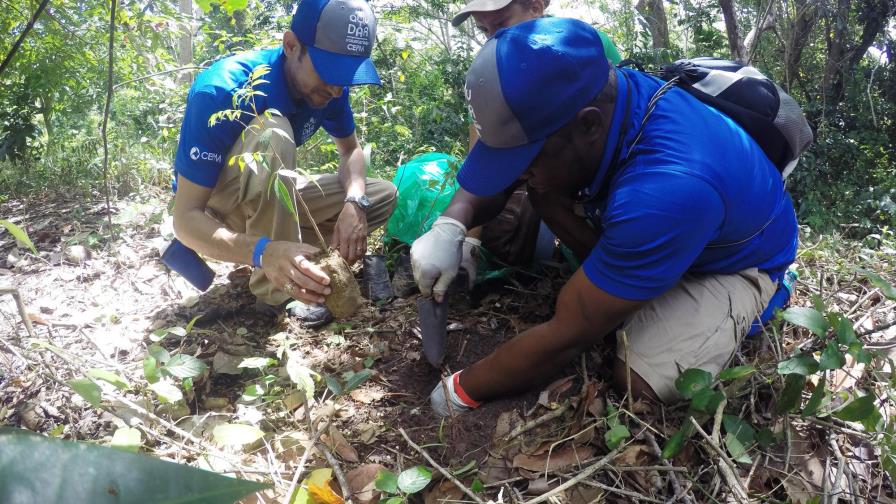 CEPM realiza jornada de limpieza y siembra en Anamuya
