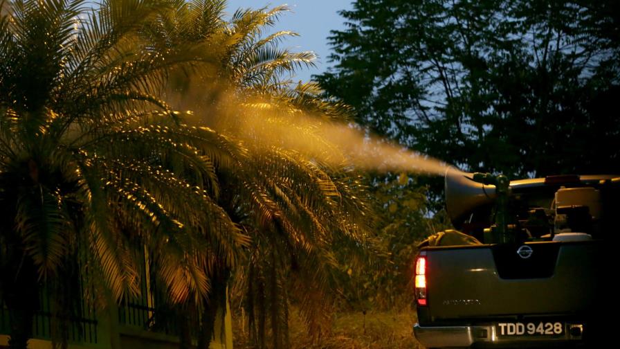 Zika puede dañar las células madre a través de una proteína, según estudio