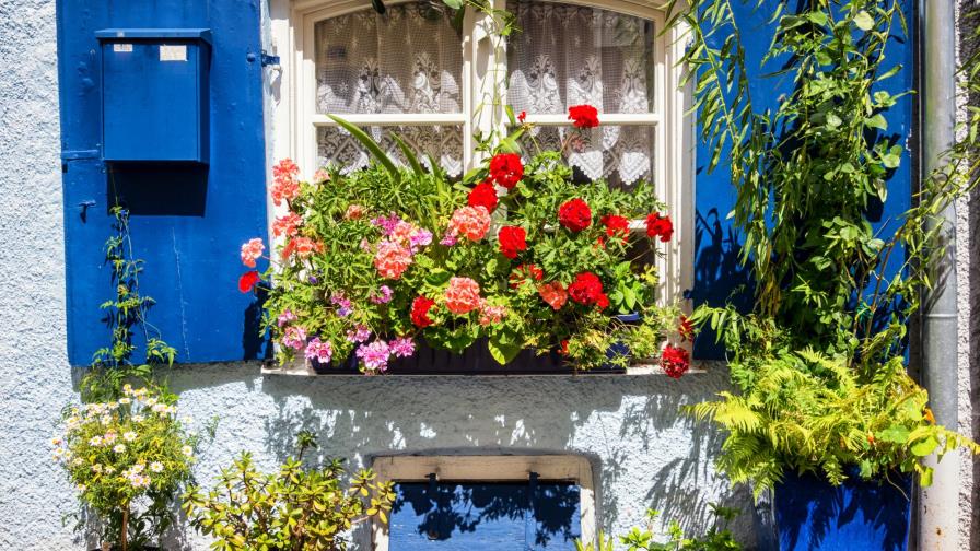 Primavera desde tu balcón