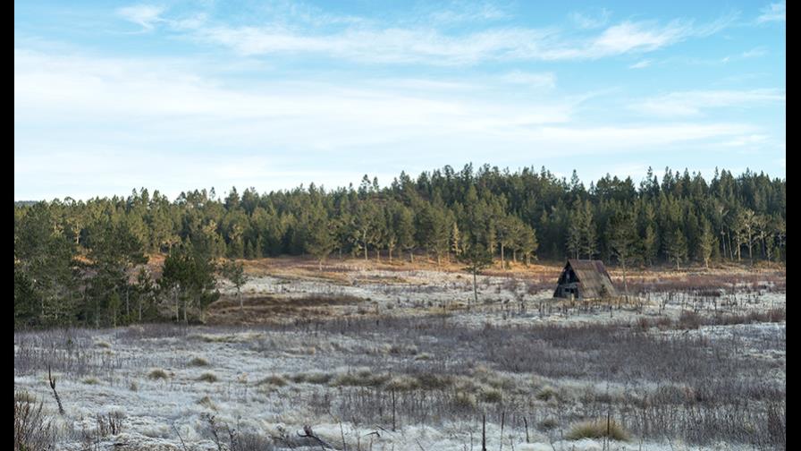 Historias de Medio Ambiente