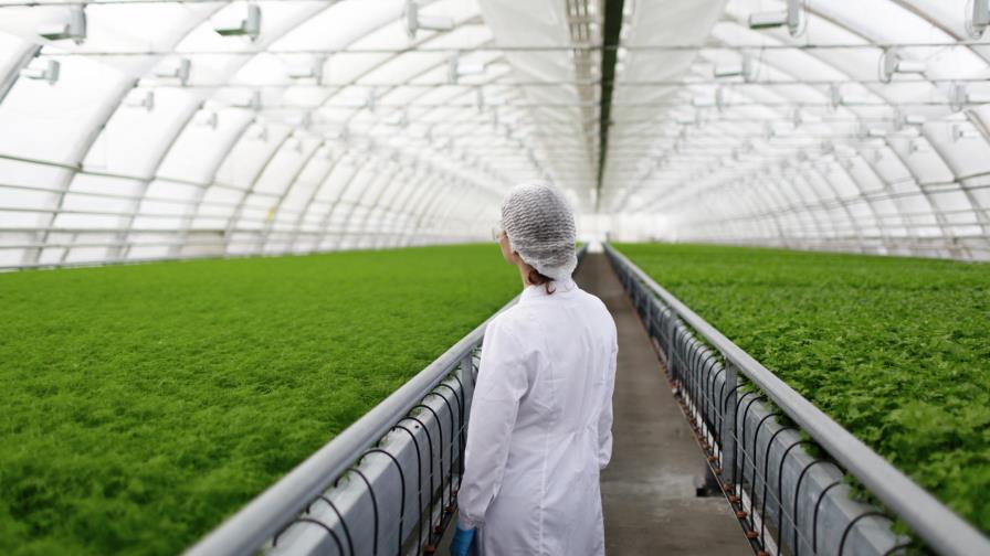 “Se requieren RD$49,000 millones para el desarrollo del sector agropecuario” “Se requieren RD$49,000 millones para el desarrollo del sector agropecuario”