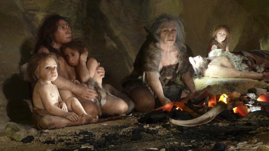 Un estudio revela las trabas para reproducirse entre neandertales y sapiens
