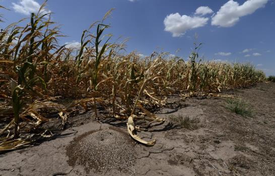 El Niño amenaza la alimentación de América Central, “una parte olvidada del mundo”