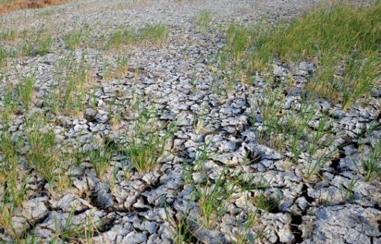 El Niño amenaza la alimentación de América Central, “una parte olvidada del mundo”