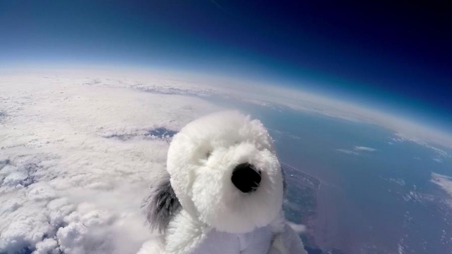 Perro de peluche alcanza la estratosfera Perro de peluche alcanza la estratosfera