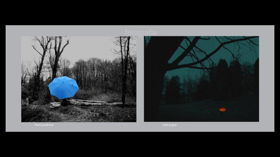 “Hecho aquí: De lo regional a lo universal”, una celebración del Arte