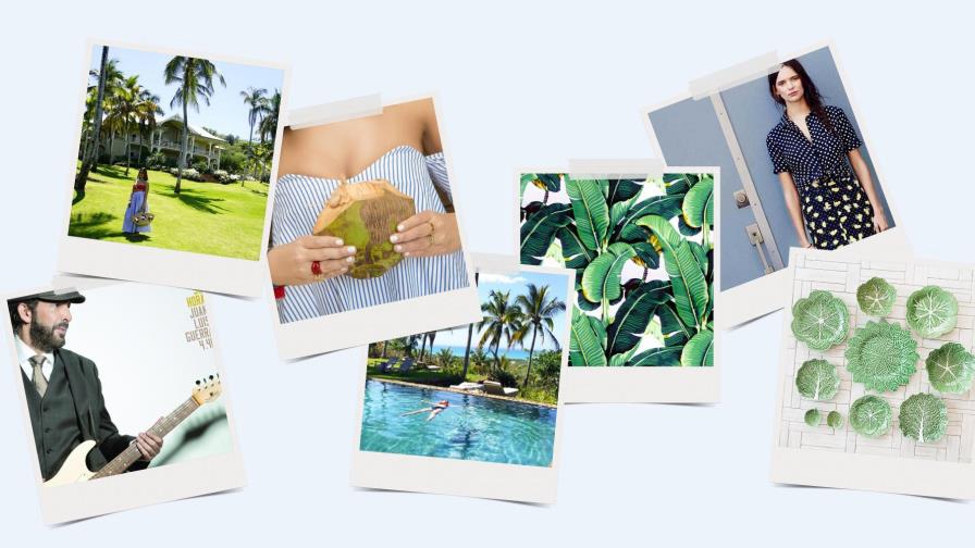 Mis inspiraciones tropicales