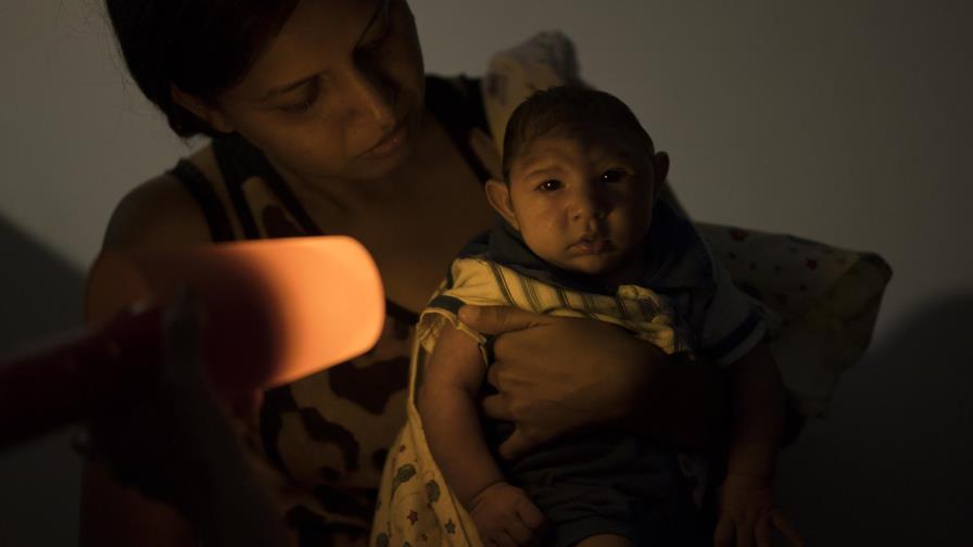 OMS: Se precisan más pruebas para confirmar vínculo entre zika y microcefalia OMS: Se precisan más pruebas para confirmar vínculo entre zika y microcefalia