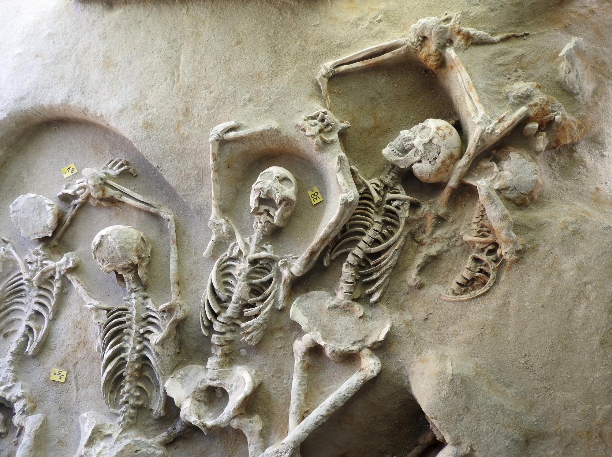 Hallan fosa común del siglo VII A.C. 