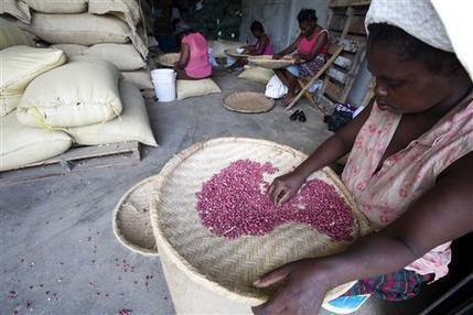 Donaciones de maní de EEUU causan desazón en Haití