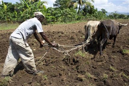 Donaciones de maní de EEUU causan desazón en Haití