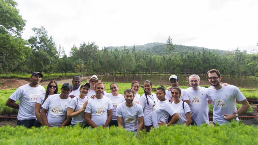 Mantenimiento de plantaciones