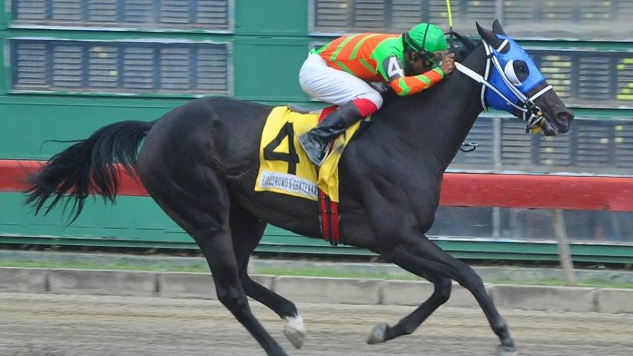 Panelista cumple como favorito en el V Centenario Panelista cumple como favorito en el V Centenario
