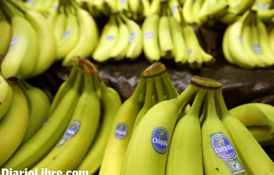 Corbana llama a bananeros latinoamericanos a protegerse de peligroso hongo