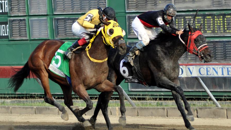  Sensato gana el Clásico Aniversario Hipódromo V Centenario