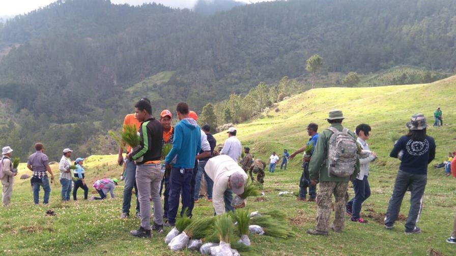 Realizan jornada de reforestación en zona boscosa afectada por incendios Realizan jornada de reforestación en zona boscosa afectada por incendios