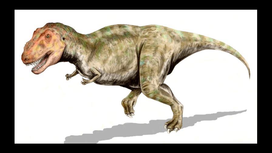 Los dinosaurios emigraron de Europa durante el Cretácico Los dinosaurios emigraron de Europa durante el Cretácico