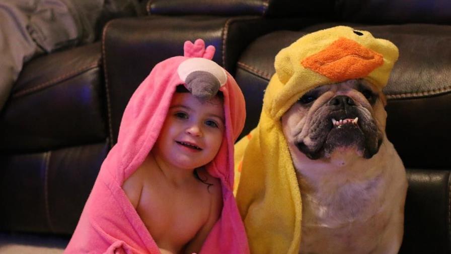 No te pierdas en Instagram: los mejores amigos