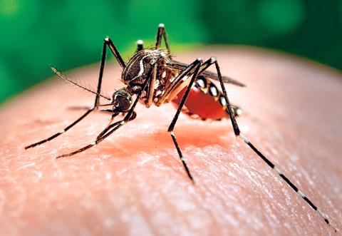 Unicef y sector privado se unen para combatir el virus del Zika