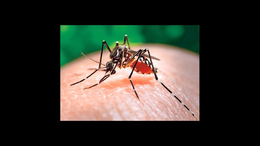 Unicef y sector privado se unen para combatir el virus del Zika Unicef y sector privado se unen para combatir el virus del Zika