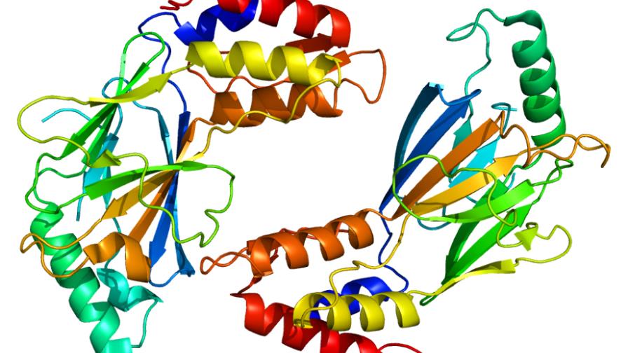Control de proteínas puede impulsar sistema inmune contra ciertas infecciones