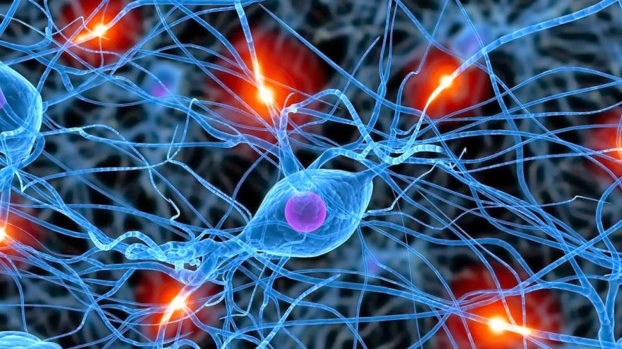 Las personas con más amigos tienen más tolerancia al dolor