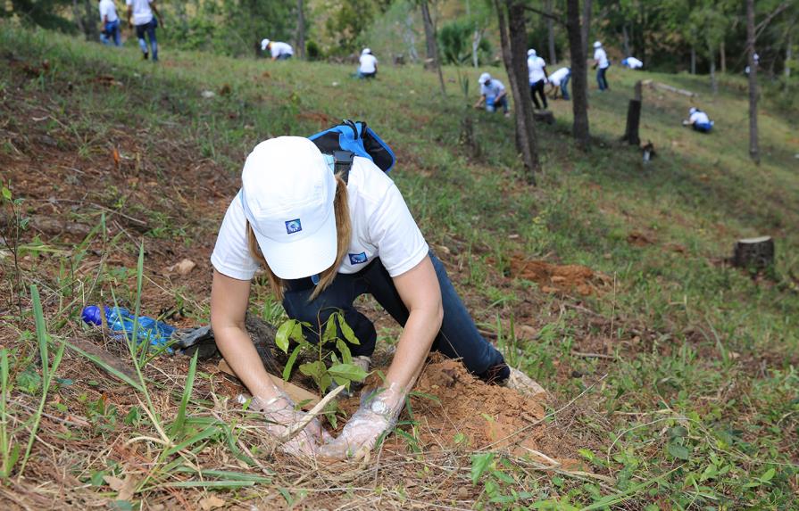 Empleados del Grupo Popular siembran 6,180 árboles en San José de las Matas