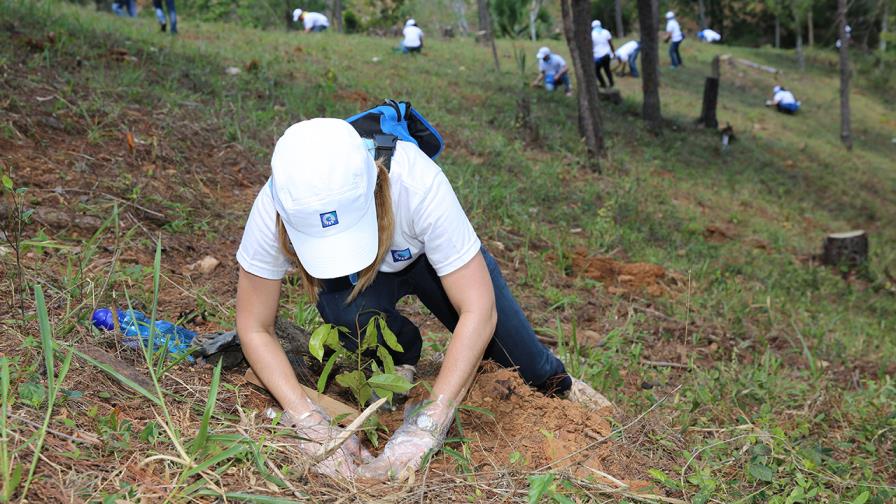 Empleados del Grupo Popular siembran 6,180 árboles en San José de las Matas