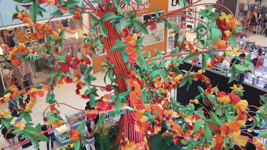 Las ramas de la solidaridad 