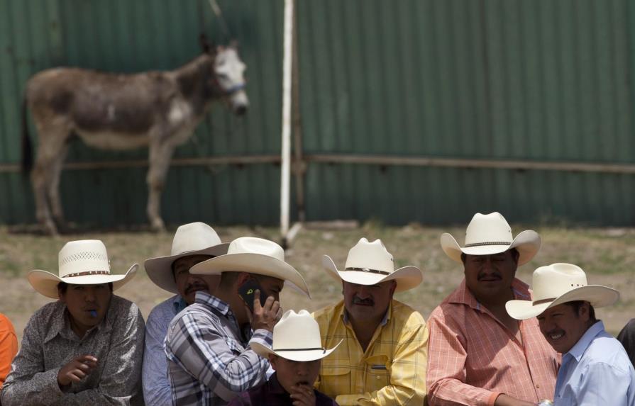 Un pueblo mexicano celebra un festival centrado en burros 