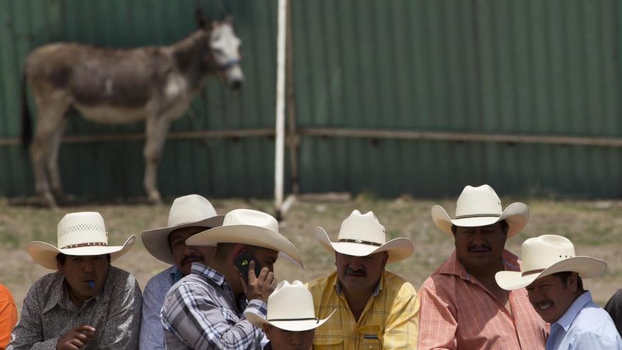 Un pueblo mexicano celebra un festival centrado en burros 