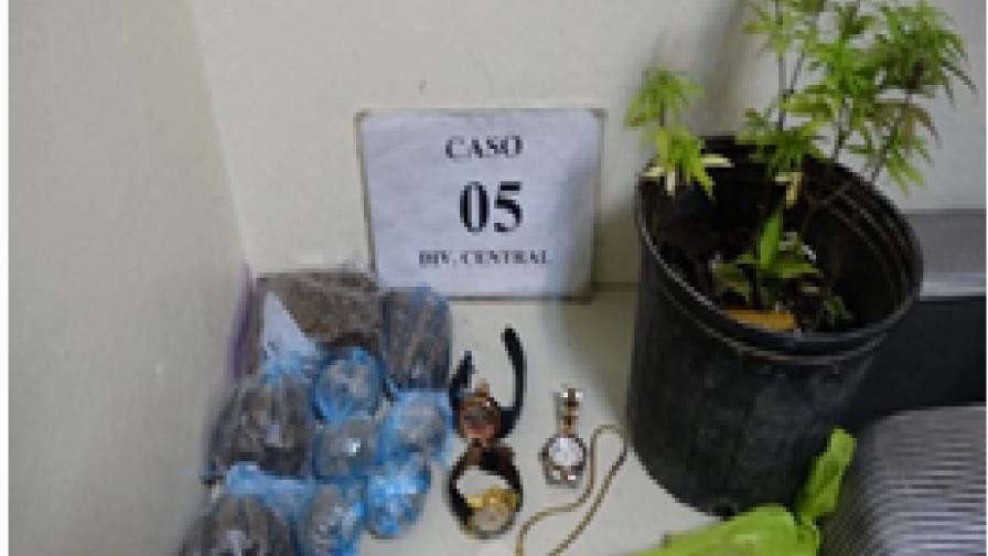 DNCD apresa a una  mujer y dos hombres por ventas de droga por encargo 