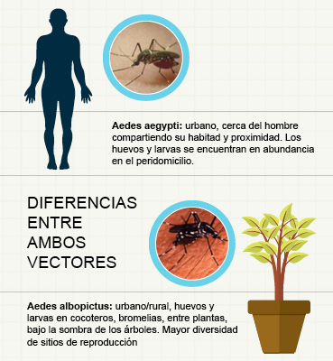 Infografía