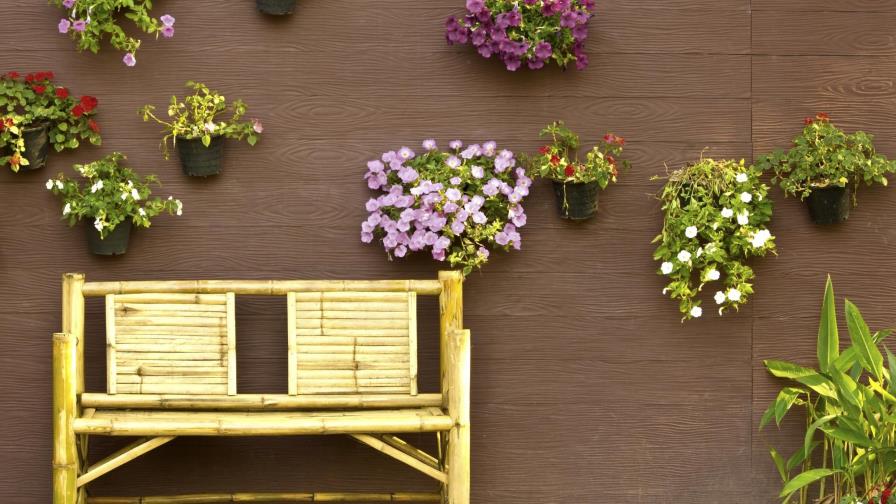 Jardines de bajo mantenimiento