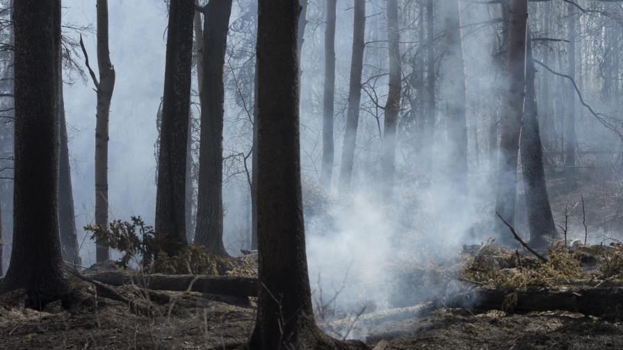 Autoridades canadienses expresan impotencia para controlar incendio forestal