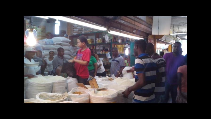 Cada día los dominicanos se aplatanan más Cada día los dominicanos se aplatanan más