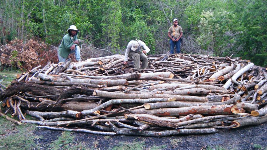 Exhibirán  en Canadá documental sobre deforestación en República Dominicana y Haití