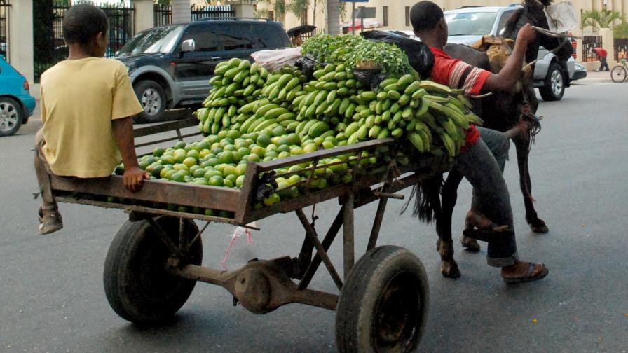 El censo de 2010 registra caballos como transporte de 2,323 casas del Distrito Nacional