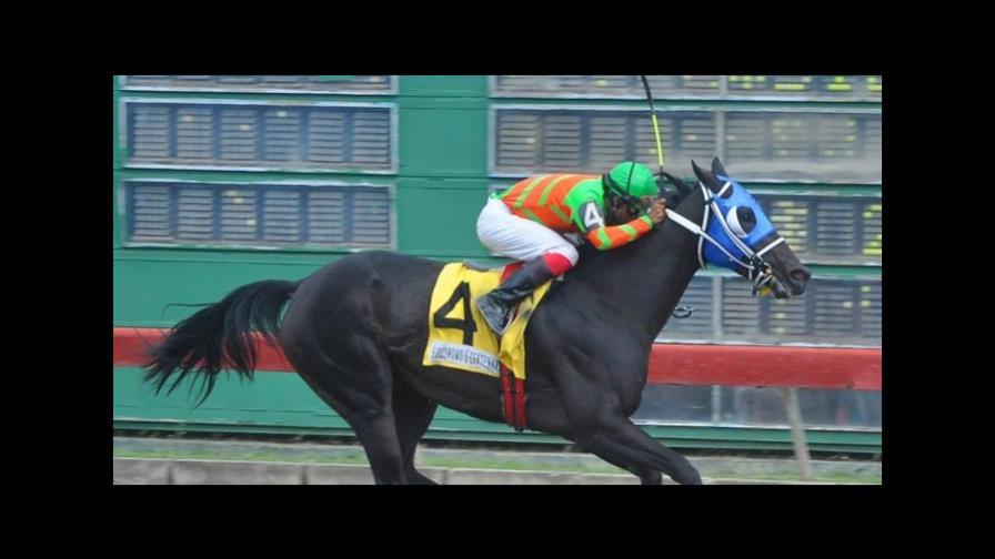 Ejemplar Panelista gana y el pool paga 25 mil pesos