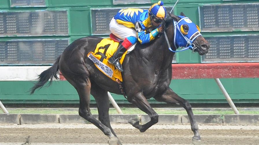 Triunfo de Pollard’s Run sorprende en el hipódromo V Centenario