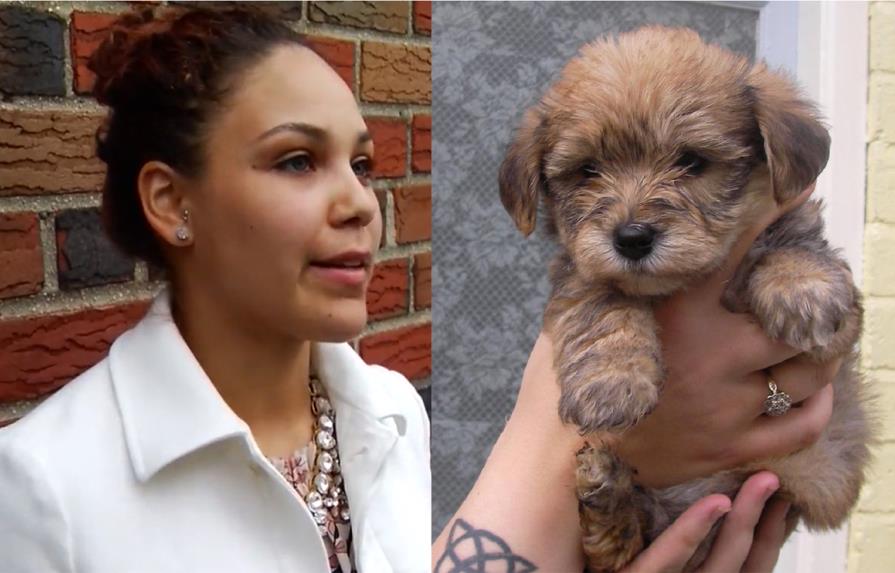 La lucha de una dominicana por recuperar su perro “Troy”; la acusan de maltrato animal