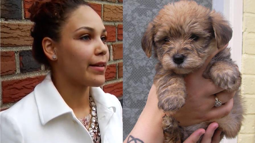 La lucha de una dominicana por recuperar su perro “Troy”; la acusan de maltrato animal