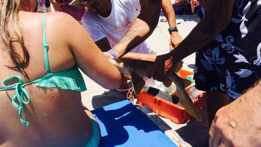 Mujer va al médico con un tiburón pegado del brazo