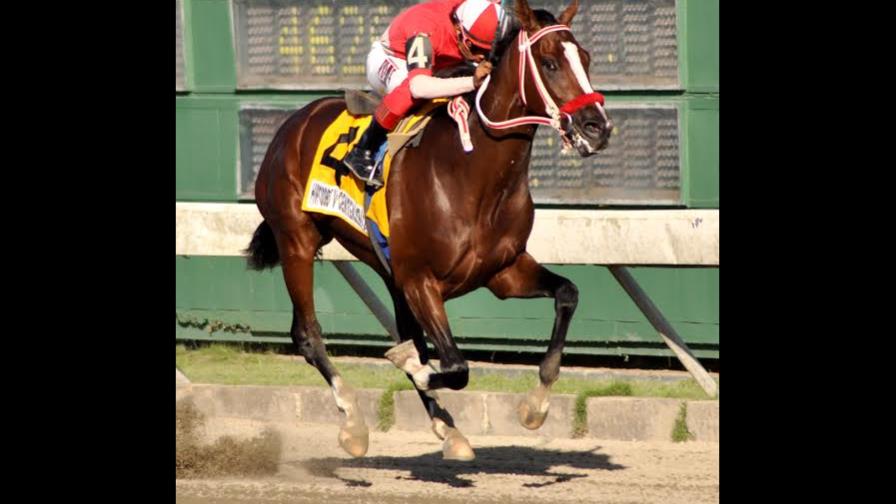 Tango Dancer cumple como favorito y se impone