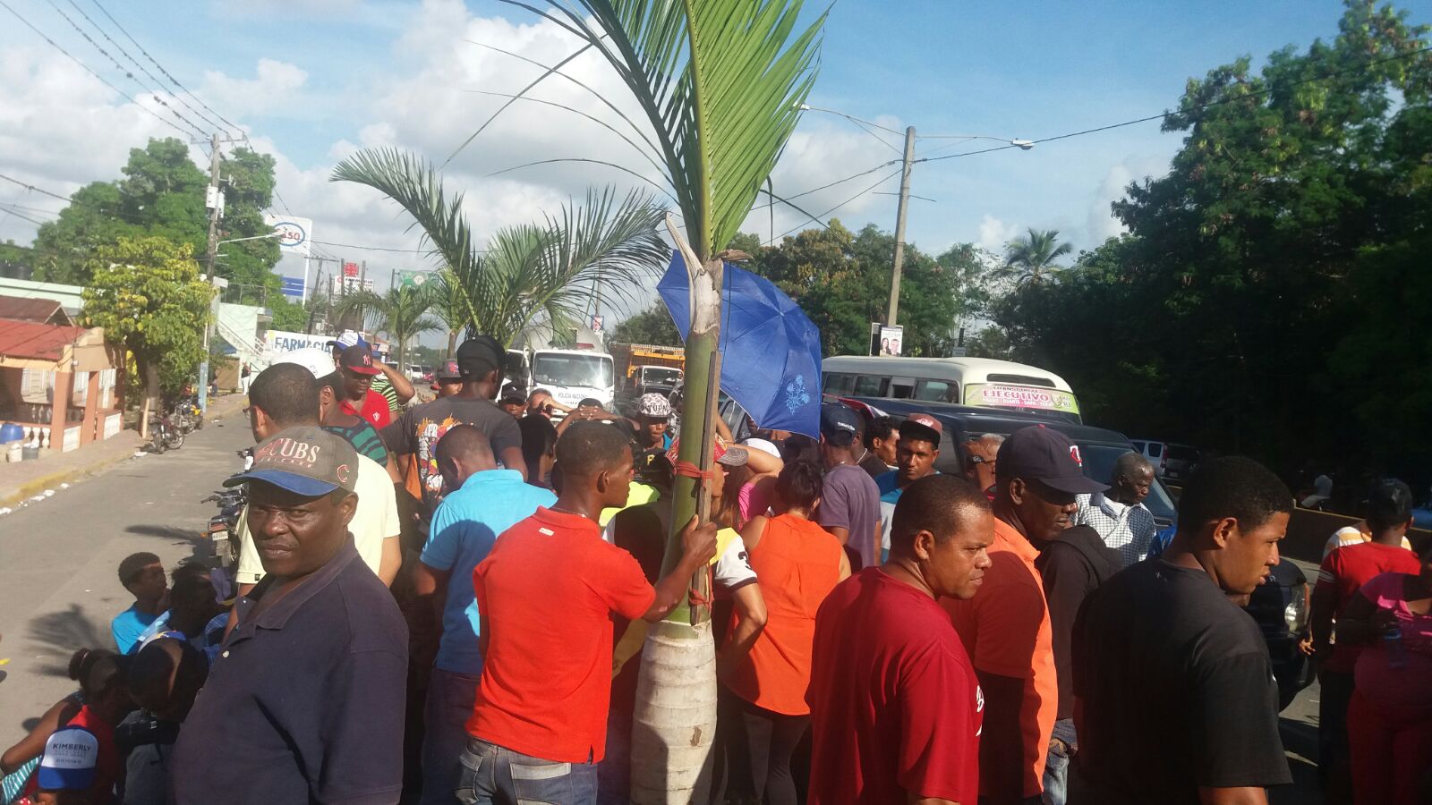 Seguidores de Kimberly Taveraz