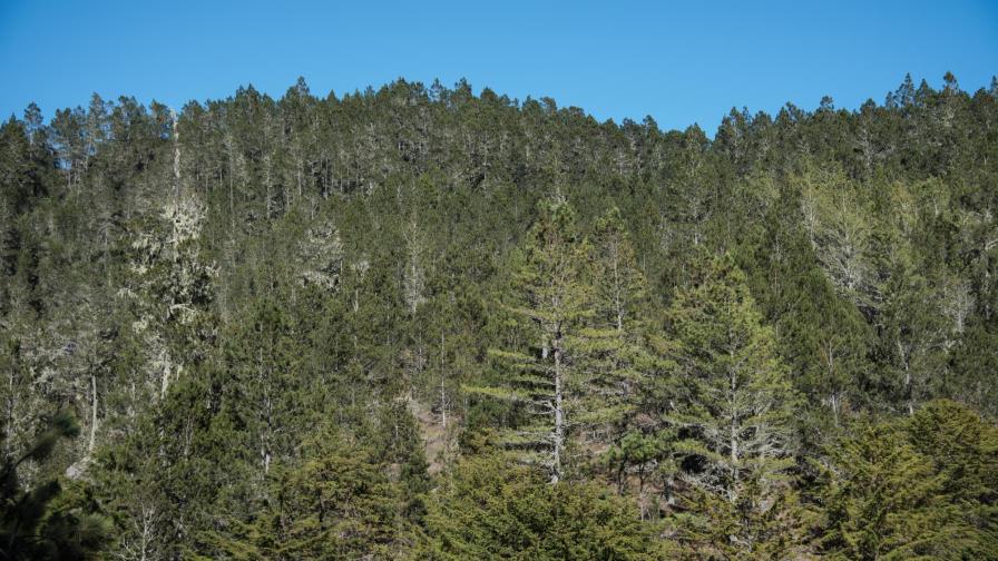 El PNUMA presenta informe sobre el Estado de la diversidad biológica en la región El PNUMA presenta informe sobre el Estado de la diversidad biológica en la región